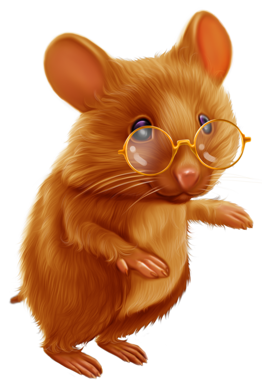 SOURIS RAT HAMSTER... 2