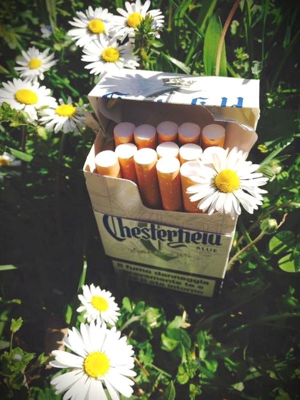 LES CIGARETTES