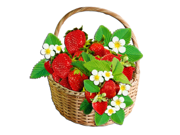 LES FRAISES