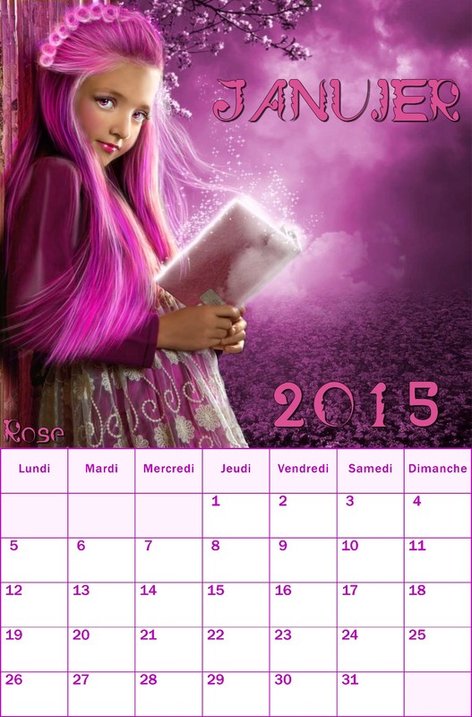 CALENDRIER JANVIER 2O15