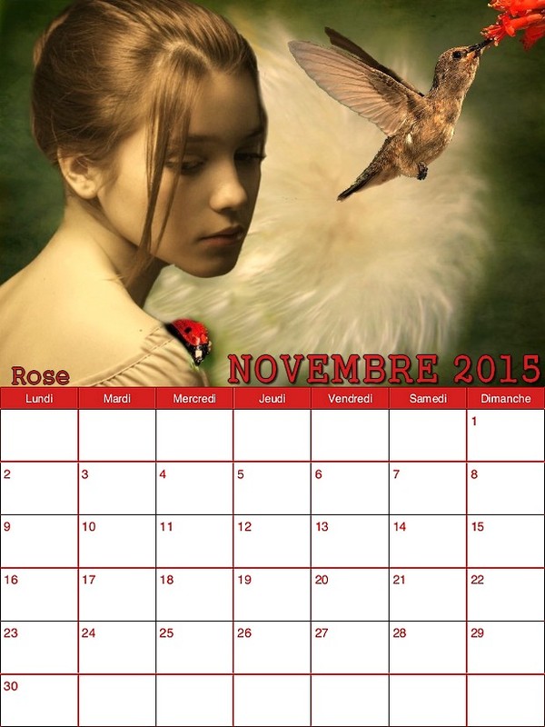 CALENDRIER NOVEMBRE 2015