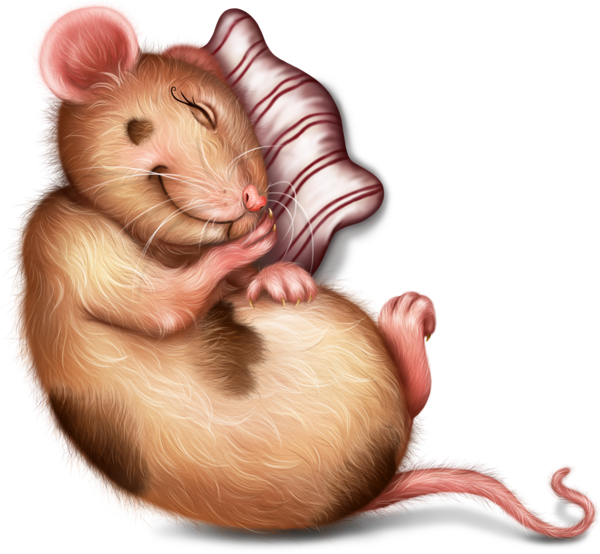 SOURIS RAT HAMSTER... 2