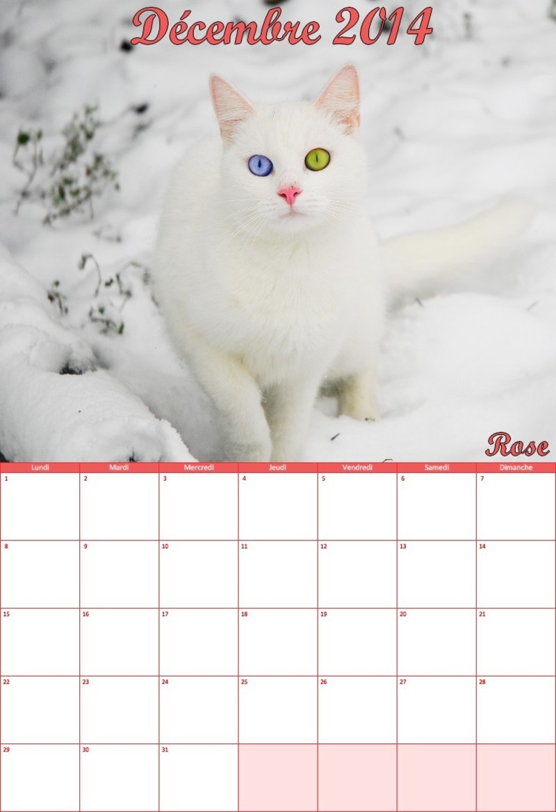 calendrier-decembre-2014.jpg