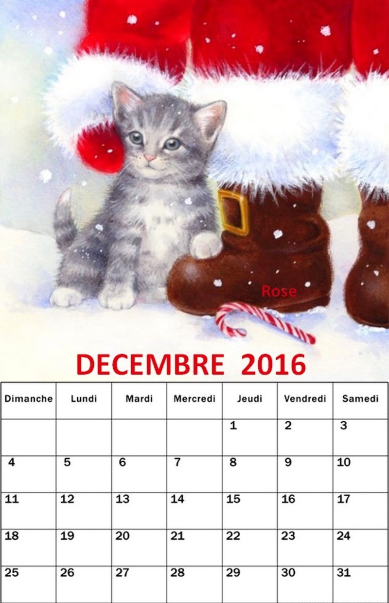 calendrier-decembre-2016-blanc-carre-d.jpg