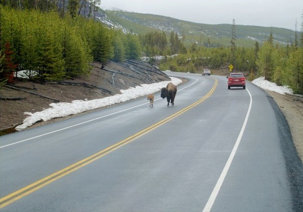 LA ROUTE