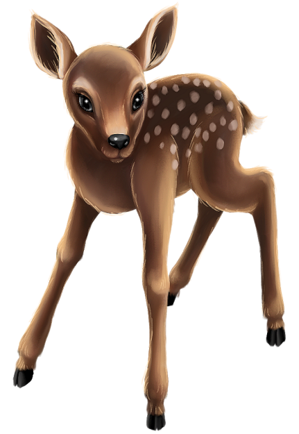 CERF BICHE