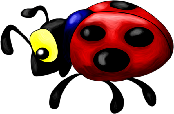 COCCINELLE