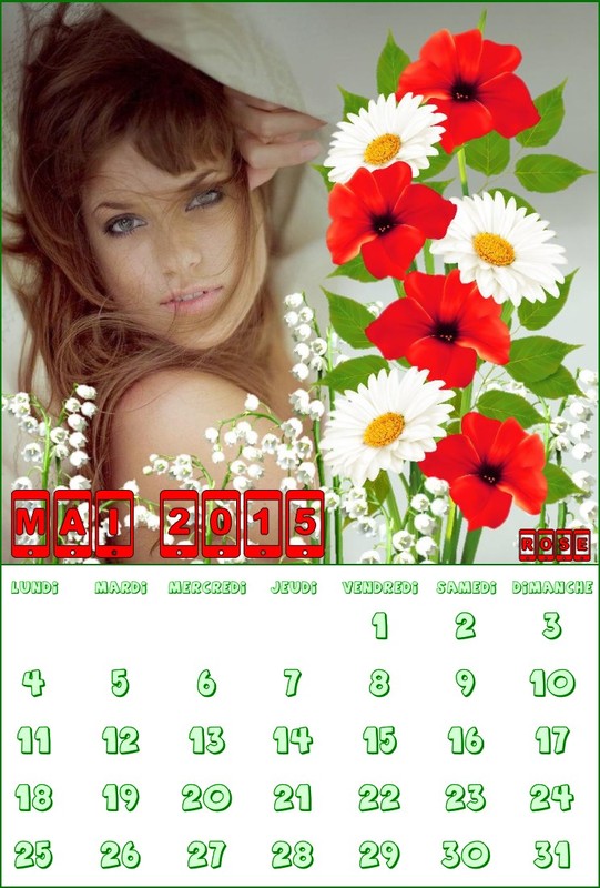 CALENDRIER MAI 2015