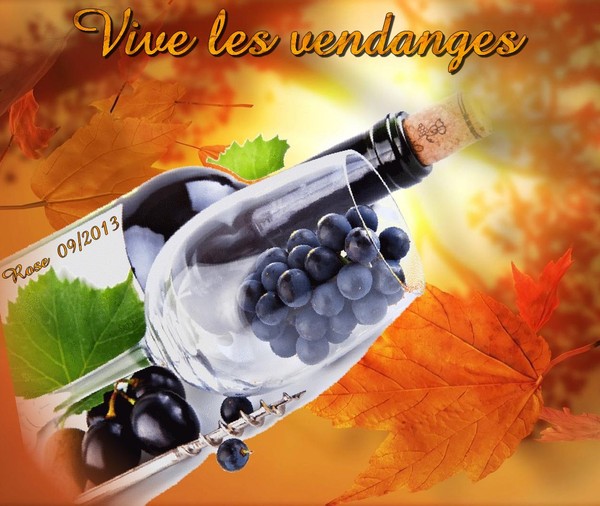 LES VENDANGES ONT COMMENCE...