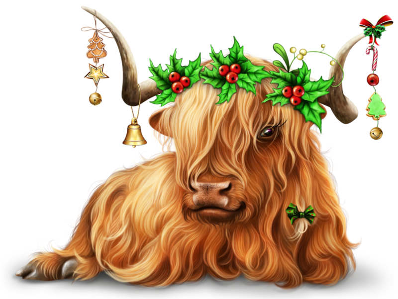 christmas-cow-png2.png