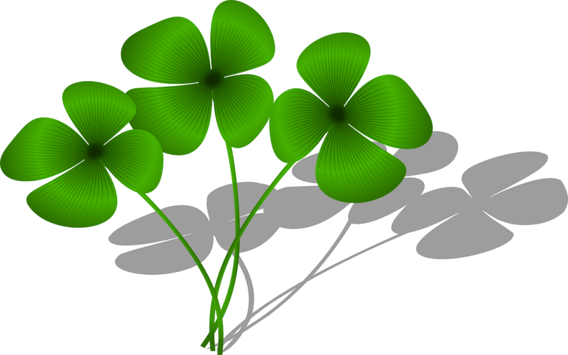 clovers-161400_1280.png