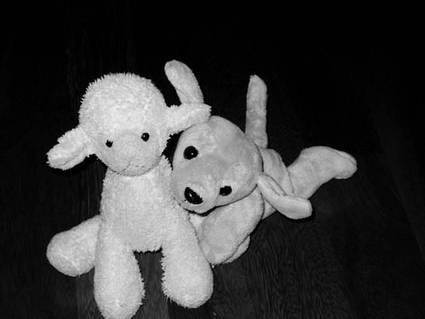 LES PELUCHES (OURS ET COMPAGNIES) 2