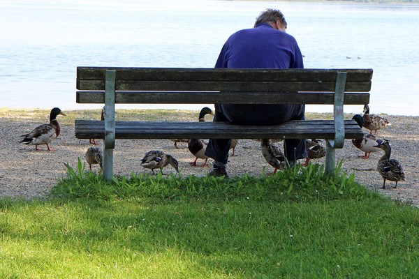 LE BANC 2