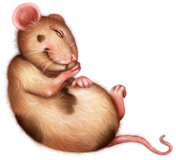 SOURIS RAT HAMSTER... 2