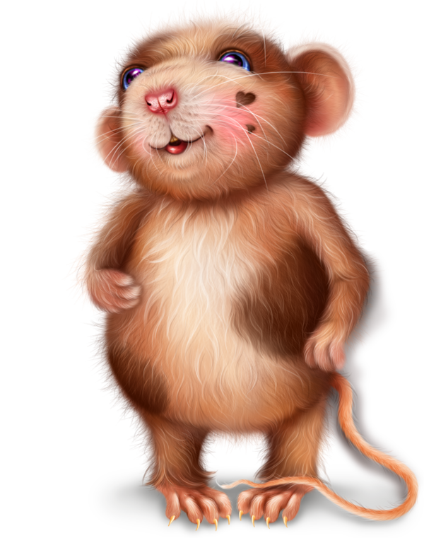 SOURIS RAT HAMSTER... 2