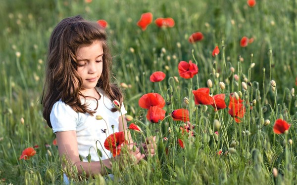 COQUELICOTS