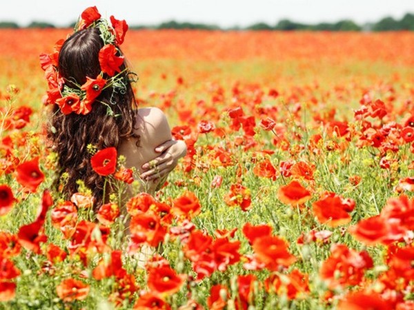 COQUELICOTS