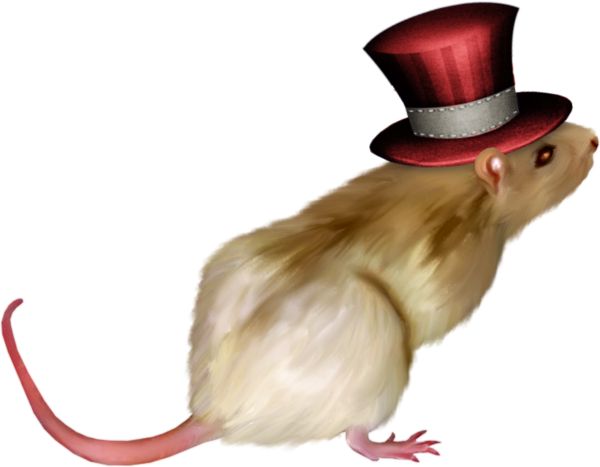 RAT