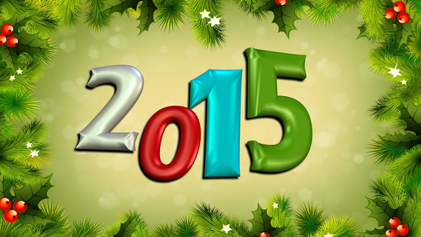 BONNE ANNEE 2015