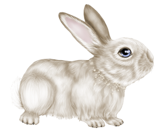 LAPIN 