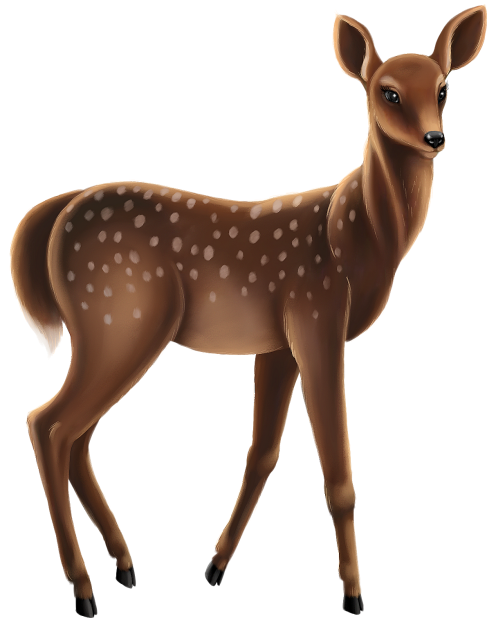 CERF BICHE