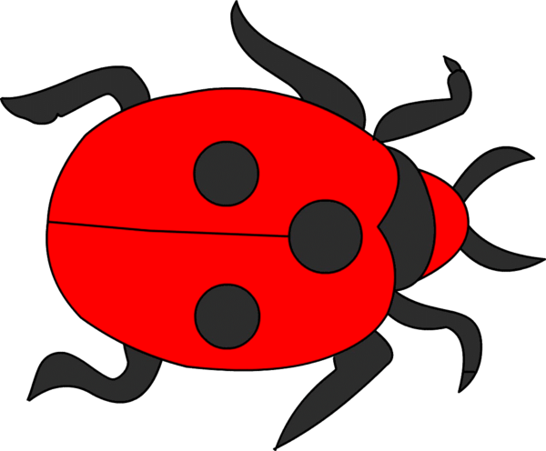 COCCINELLE