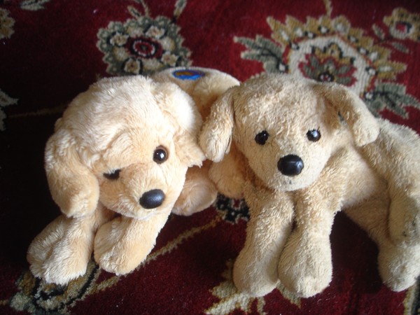 LES PELUCHES (OURS ET COMPAGNIES) 2