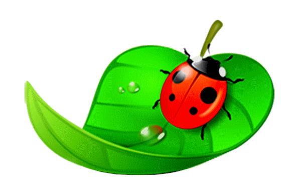 COCCINELLE