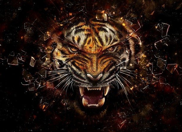 TIGRE