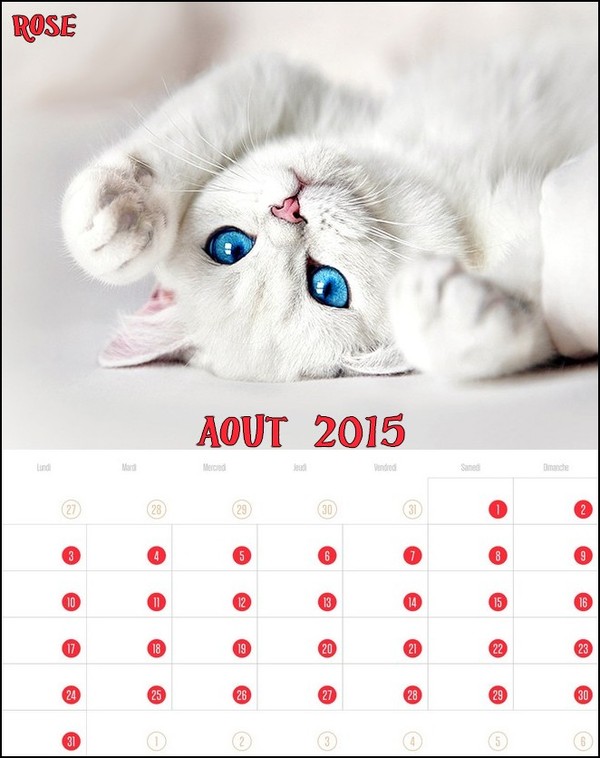 CALENDRIER AOUT 2015