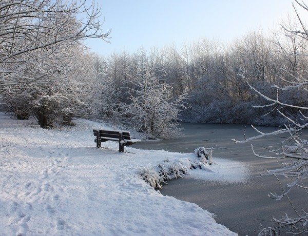 LE BANC