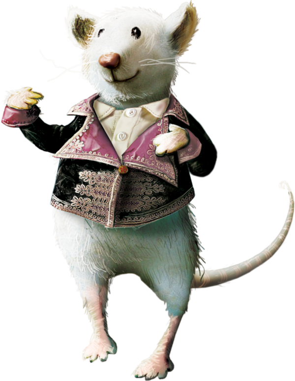 RAT SOURIS... 2