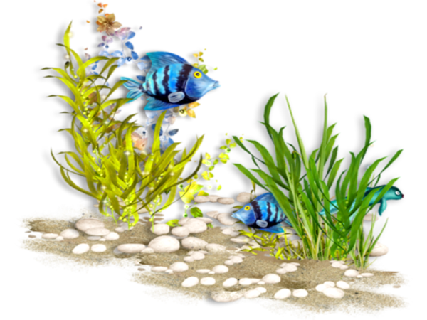 POISSON