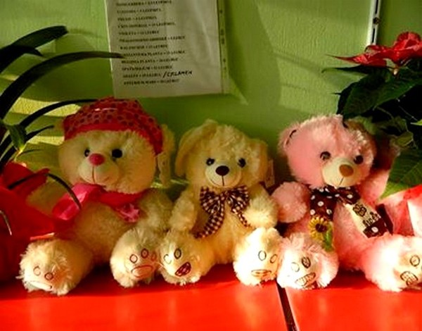 LES PELUCHES (OURS ET COMPAGNIES)