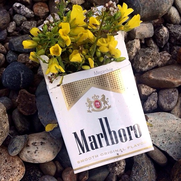 LES CIGARETTES