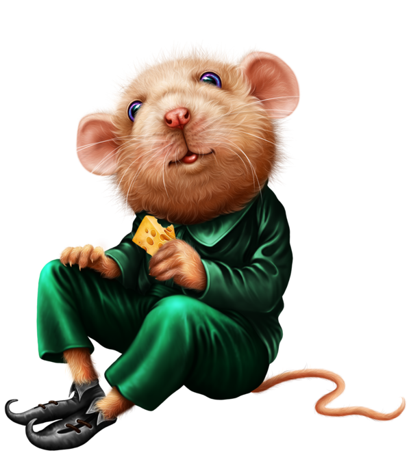 SOURIS RAT HAMSTER... 2