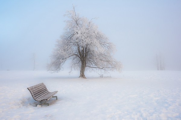 LE BANC 2