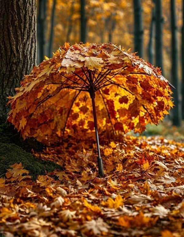 L'AUTOMNE
