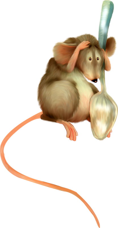 RAT SOURIS... 2