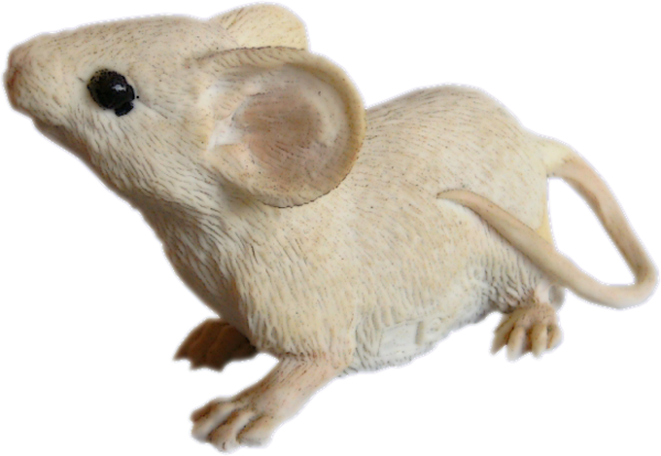 SOURIS RAT HAMSTER... 2