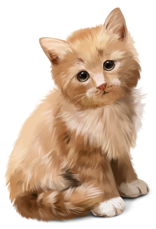 CHAT 7