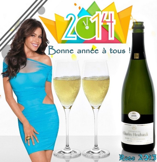 BONNE ANNEE 2014