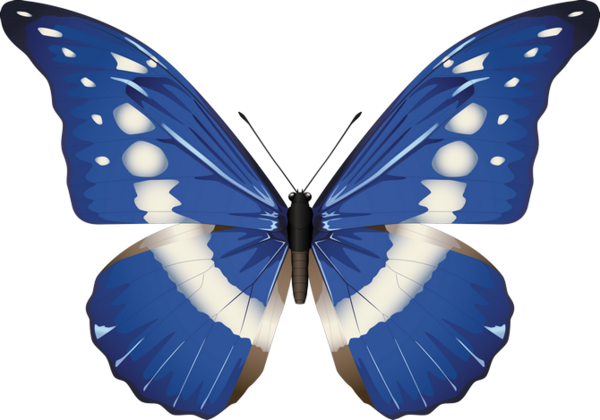 PAPILLON