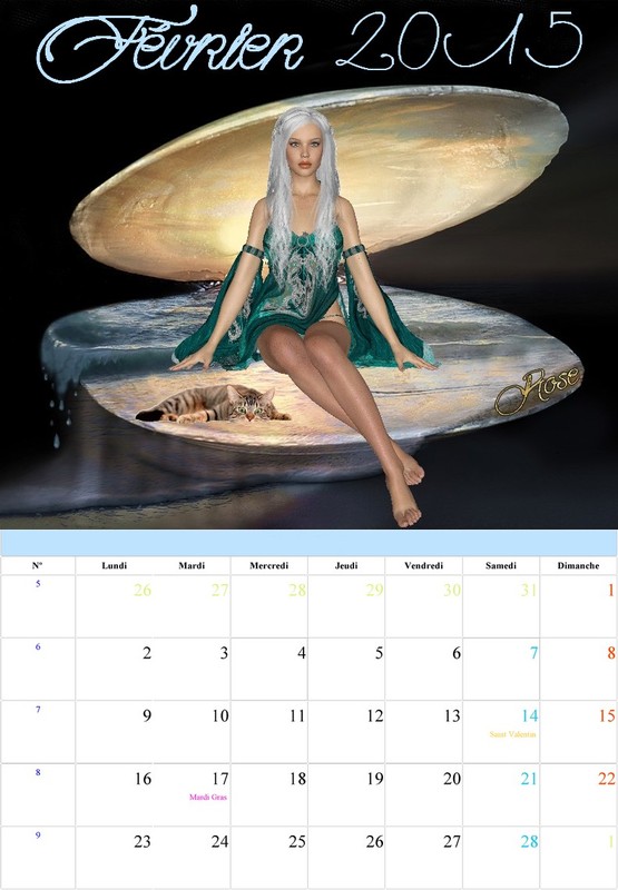 CALENDRIER FEVRIER 2015