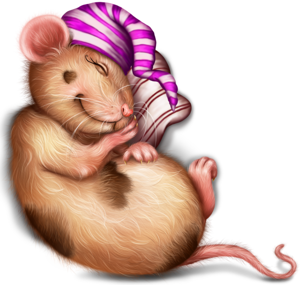 SOURIS RAT HAMSTER... 2