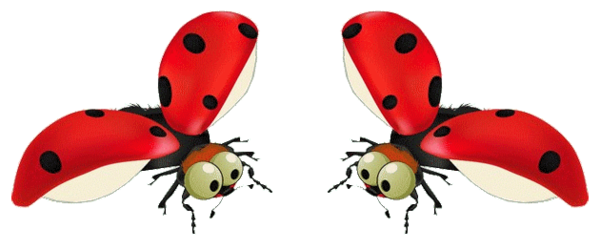 COCCINELLES