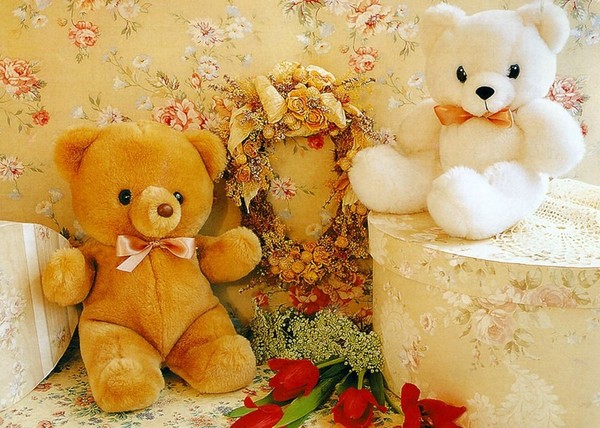 LES OURS EN PELUCHE