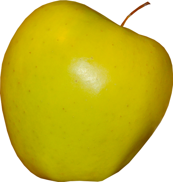 LA POMME