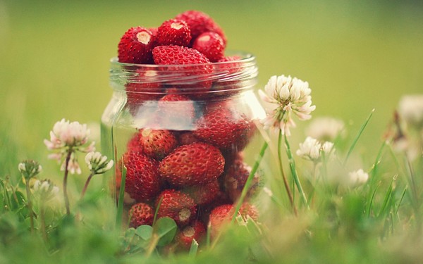 LES FRAISES