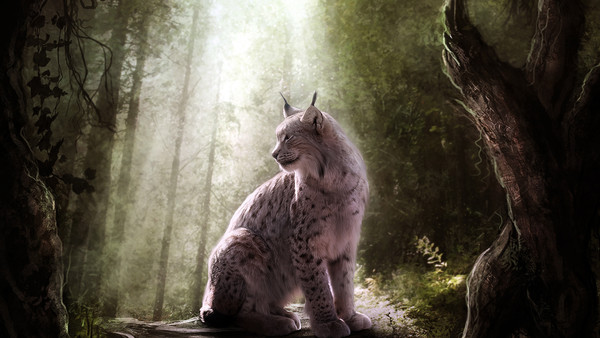 LYNX